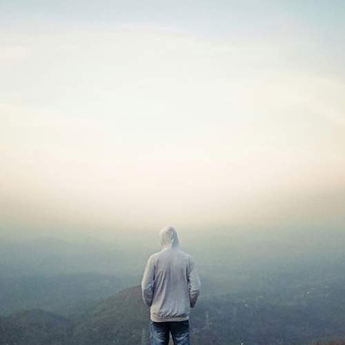 Photo #8827080