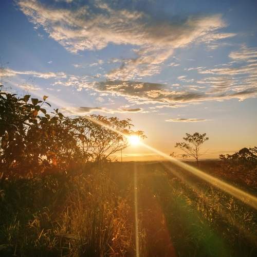 Photo #8827201