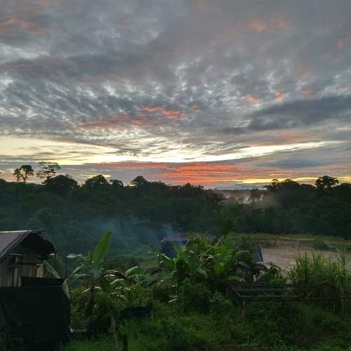 Photo #8827204
