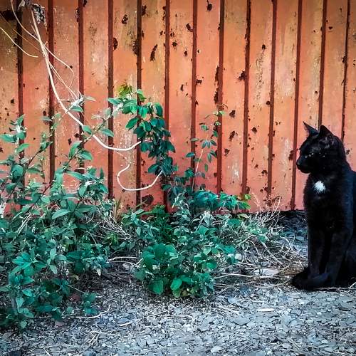Photo #8827515