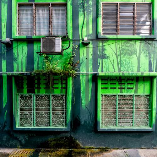 Photo #8827547