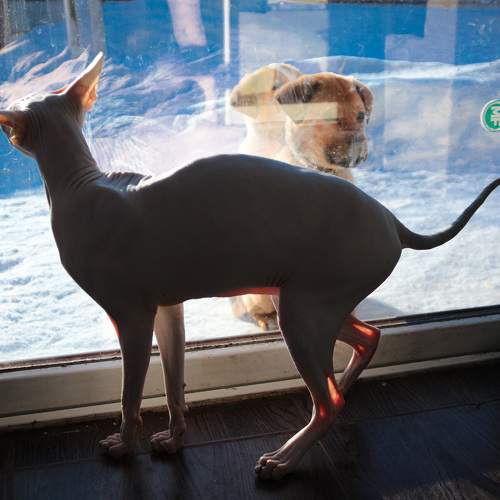 Photo #8827698