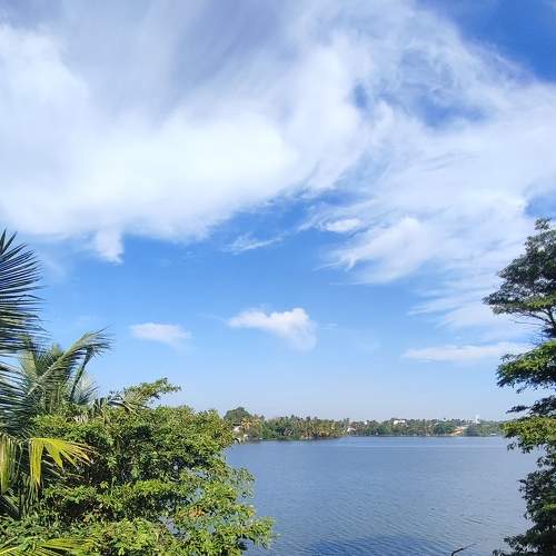 Photo #8827710