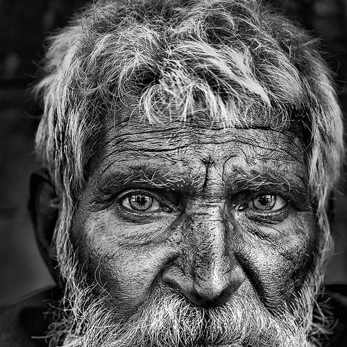 Фотография #8827812