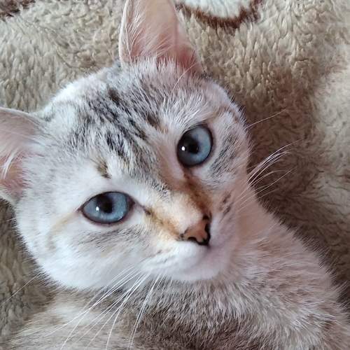 Photo #8828348