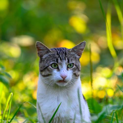Photo #8828366