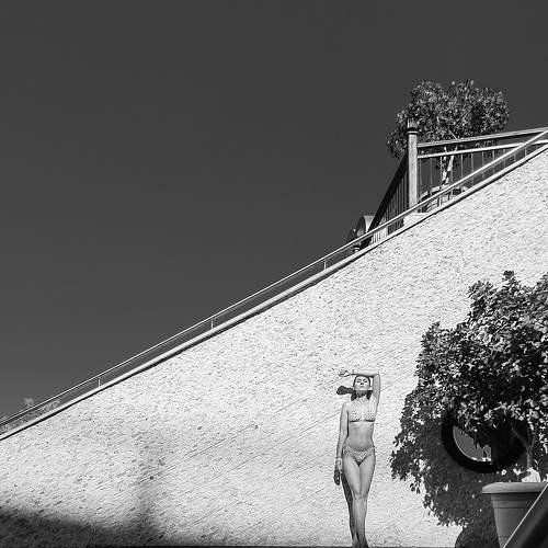 Photo #8828415