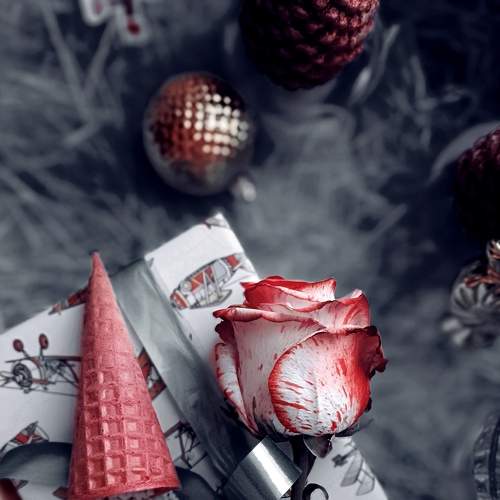 Photo #8828507