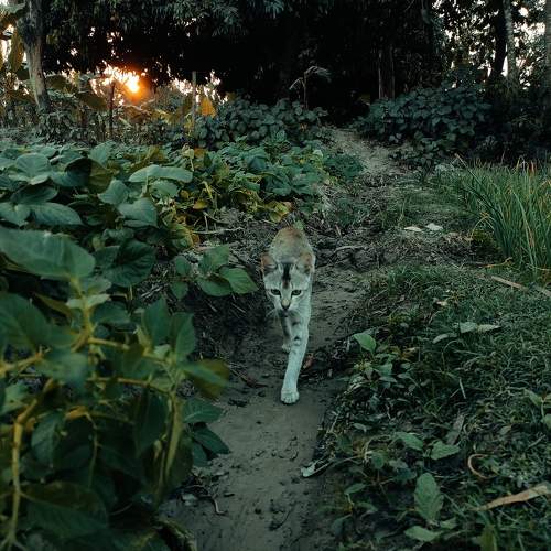 Photo #8828587