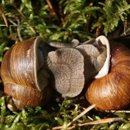 Photo #8828617
