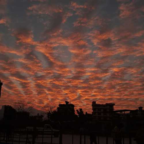 Photo #8828693