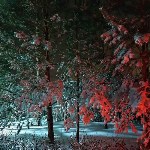 Зимние краски