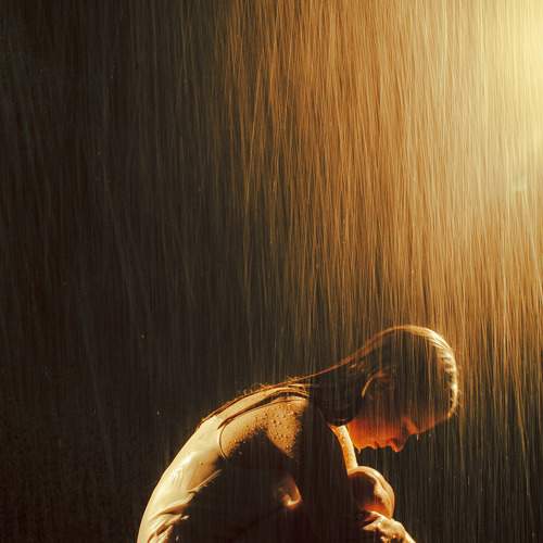 Photo #8829006