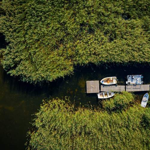 Photo #8829083
