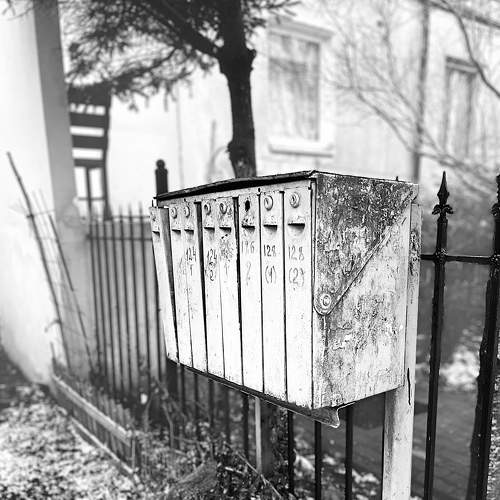 Photo #8829628
