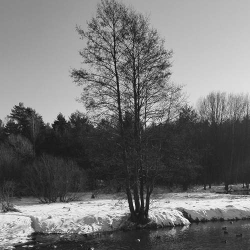 Photo #8829677