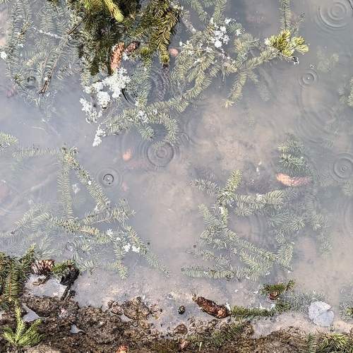 Photo #8829699
