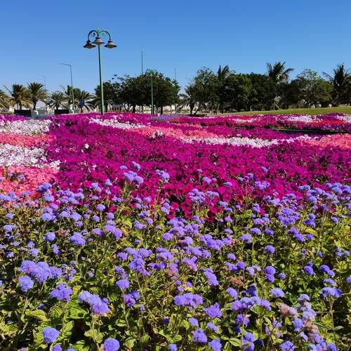 Photo #8829830