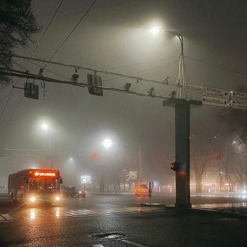 Photo #8829897