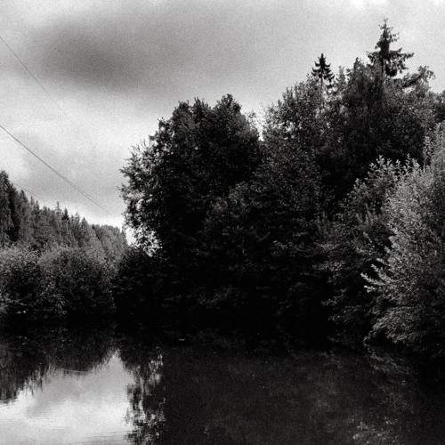 Photo #8829966