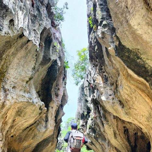 Photo #8830107