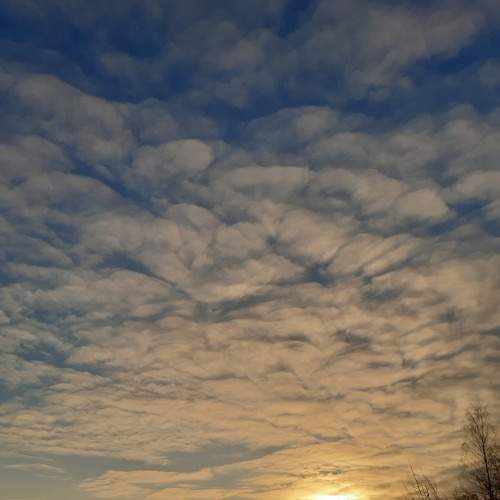 Photo #8830177