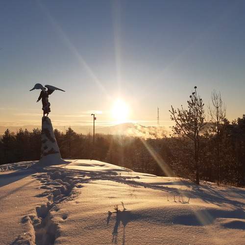 Photo #8830192