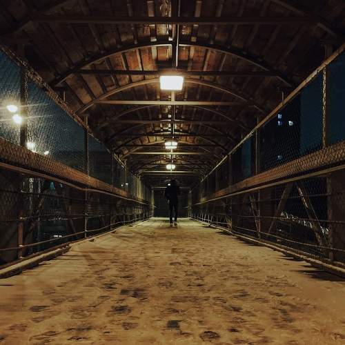 Photo #8830255