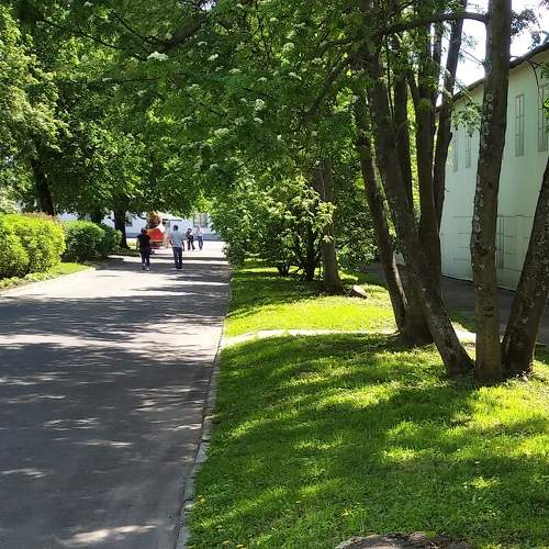 Photo #8830382