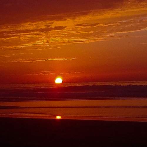 Photo #8830404