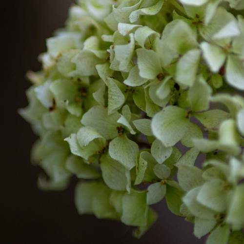 Photo #8830589