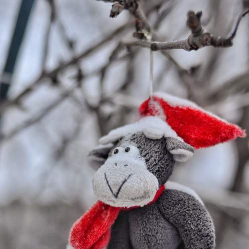 Photo #8830654