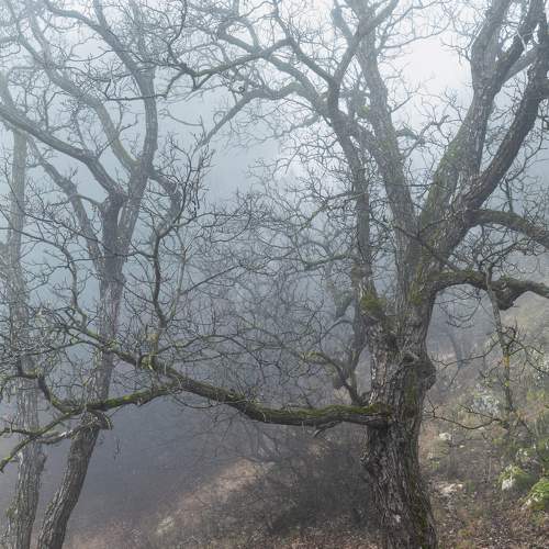 Photo #8830682
