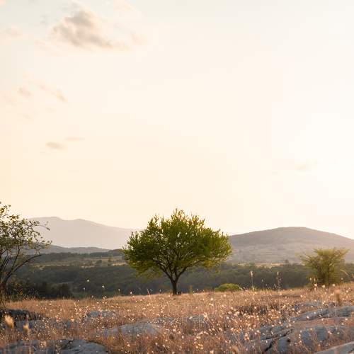 Photo #8830701