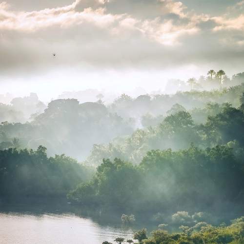 Photo #8831239
