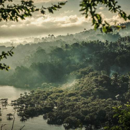 Photo #8831323