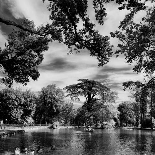 The city lake