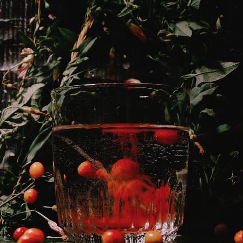 Photo #8831406