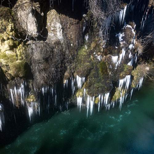 Photo #8831503