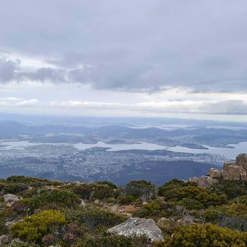 Photo #8831776