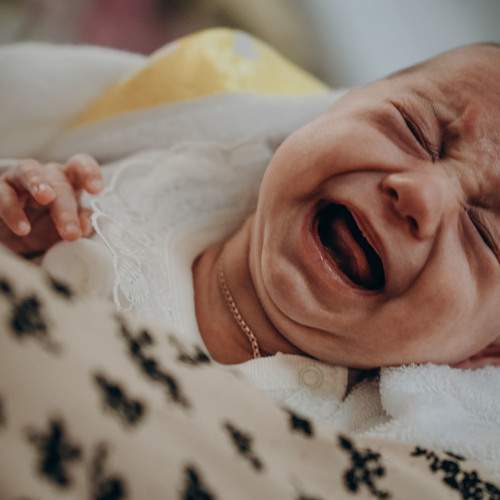 Photo #8832156