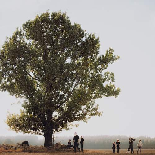 Tree of Strength