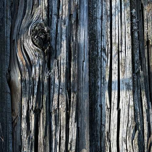 Photo #8832589
