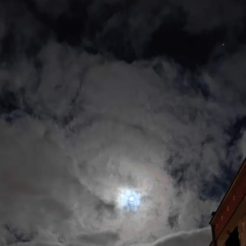 Photo #8832702