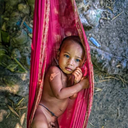Photo #8833256
