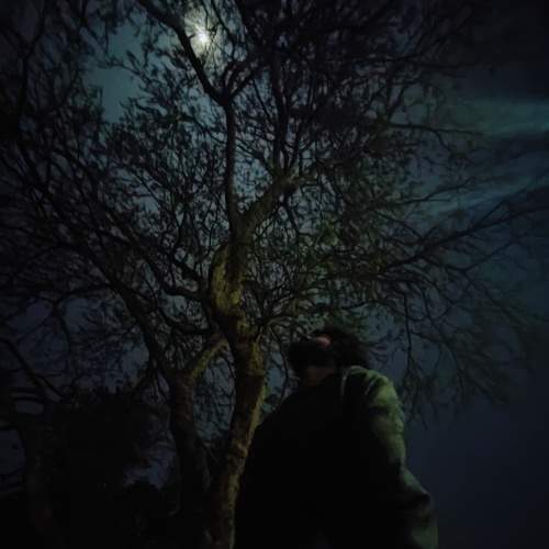 Photo #8833350
