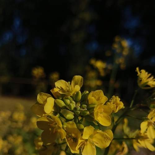 Photo #8833481