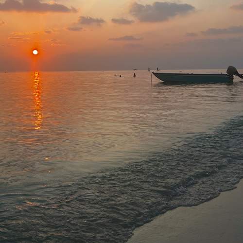 Photo #8833616