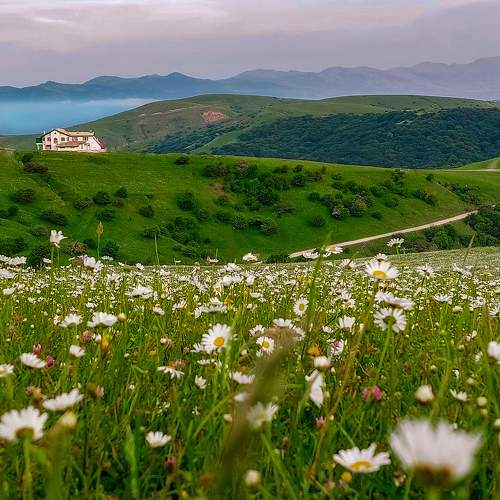 The bride of the plains of Iran