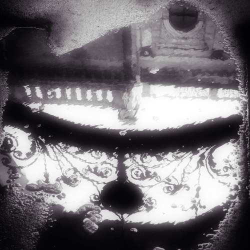 Photo #8833665